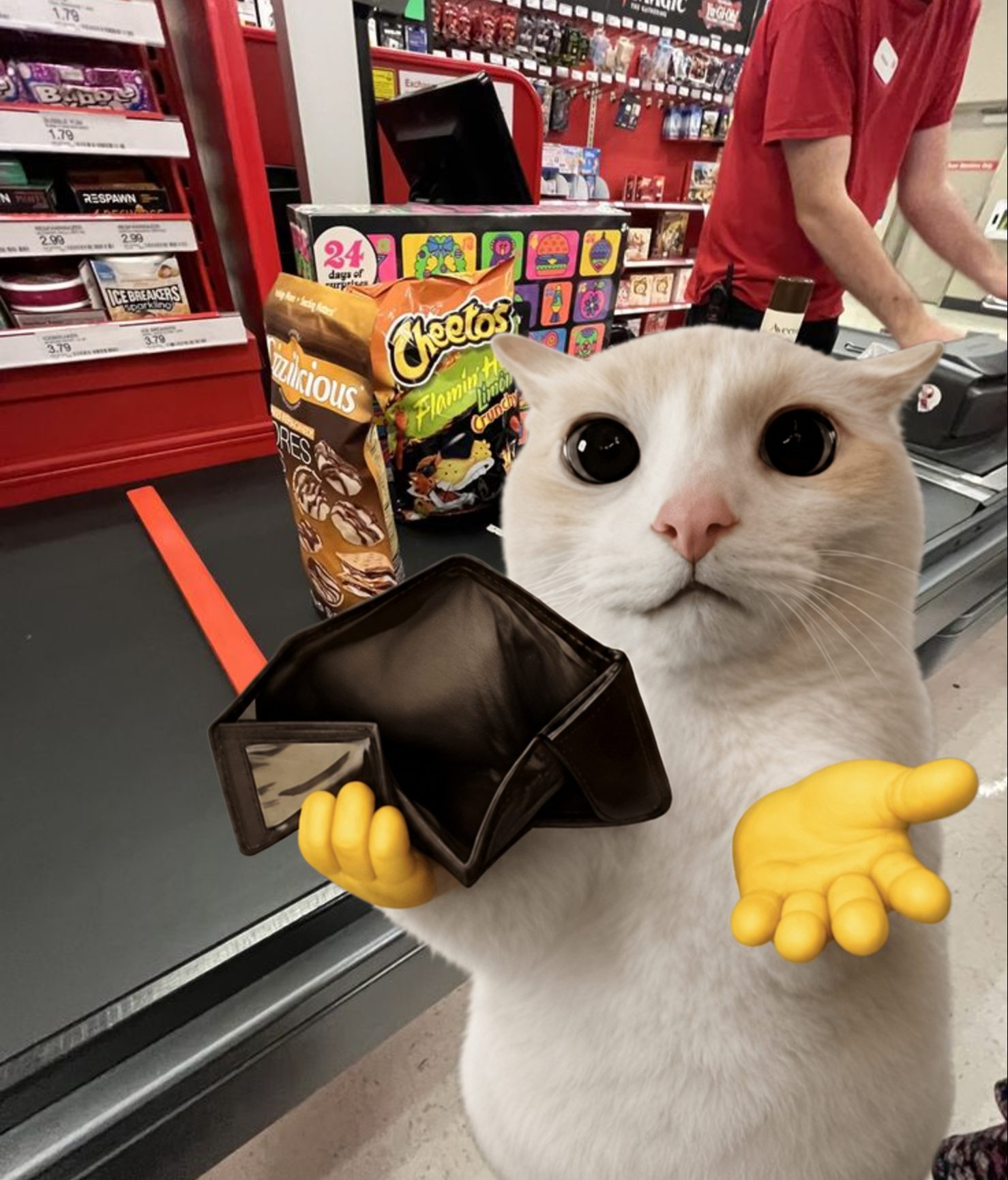 Broke Cat at the checkout