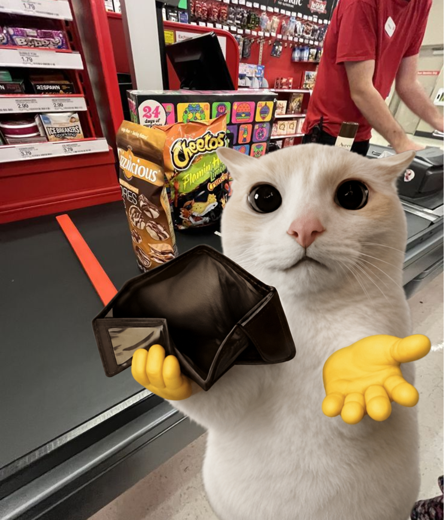 Broke Cat at the checkout
